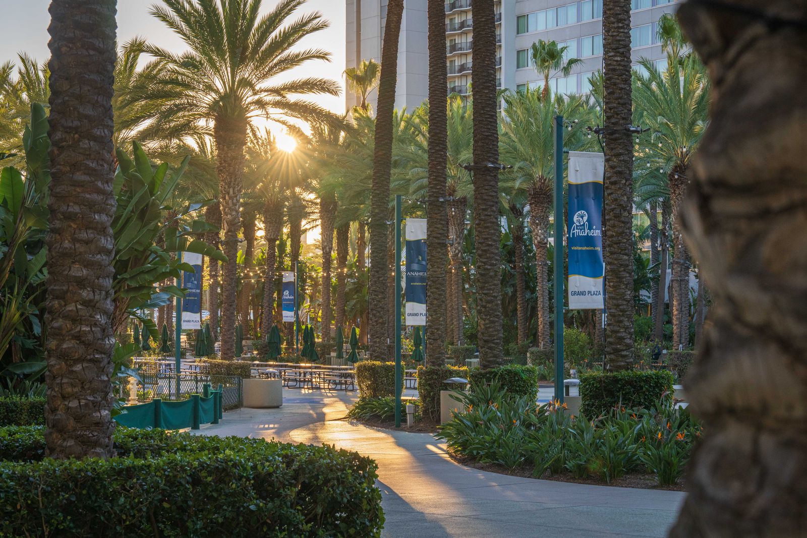 Anaheim Hills