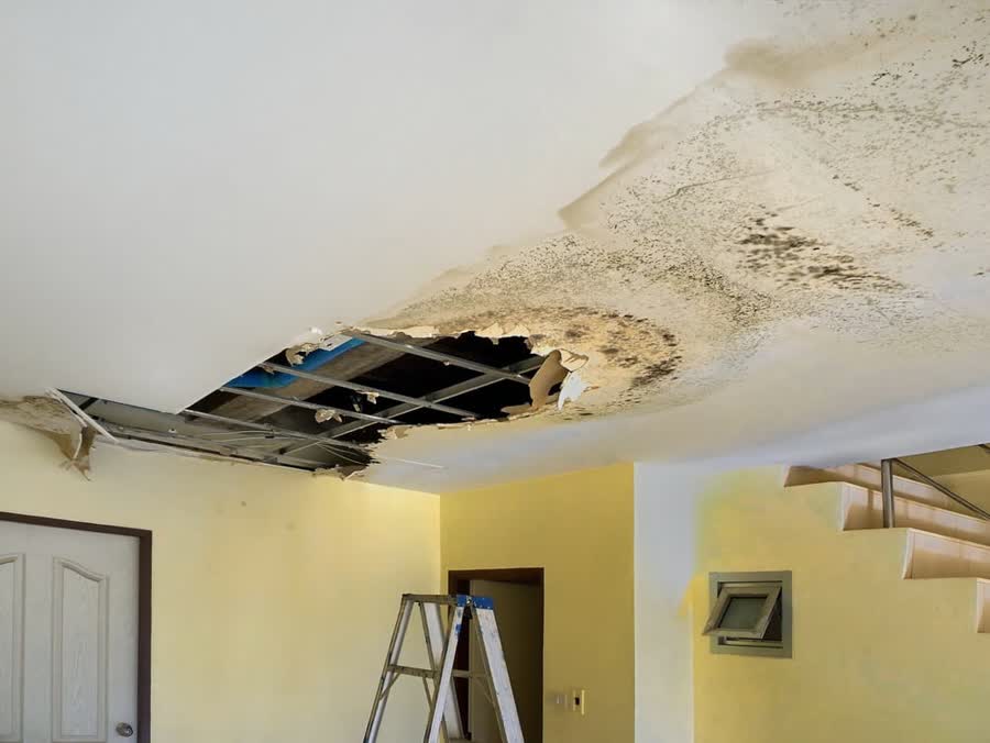 Anaheim Restoration Pros in Anaheim, California